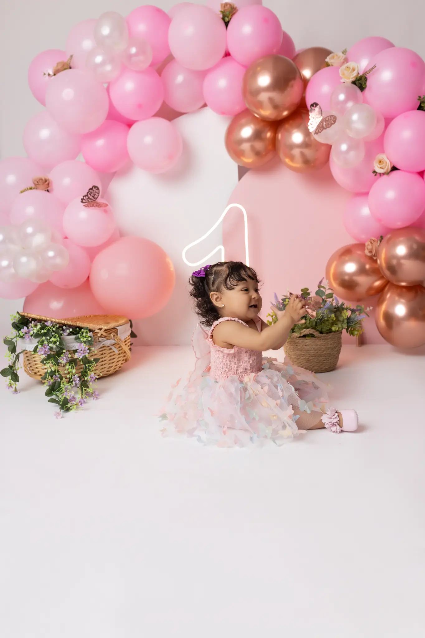 Sessão Smash the Cake